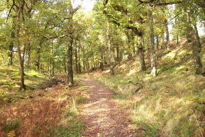 Walk photo