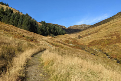 Walk photo