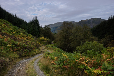 Walk photo