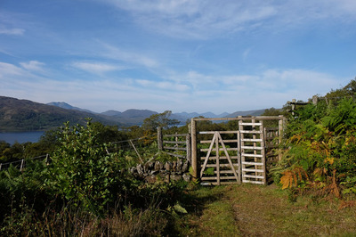 Walk photo
