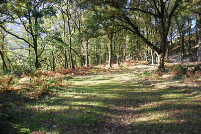 Walk photo