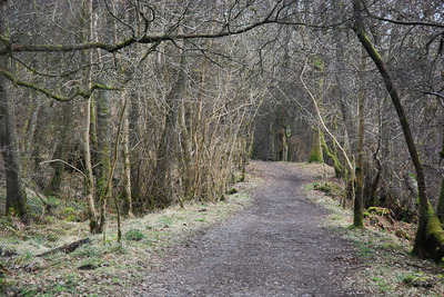 Walk photo