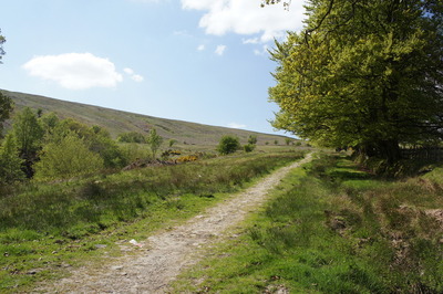 Walk photo