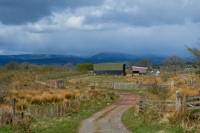 Walk photo