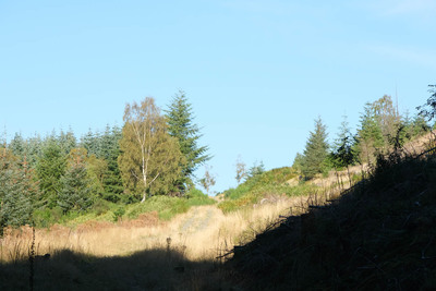 Walk photo
