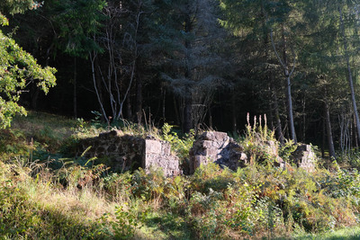 Walk photo