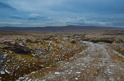 Walk photo