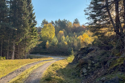 Walk photo