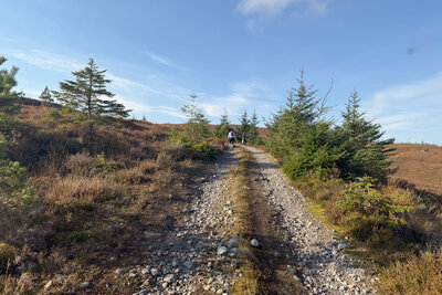 Walk photo