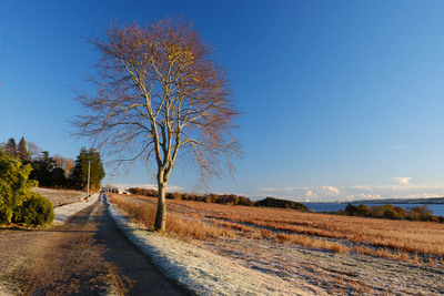 Walk photo