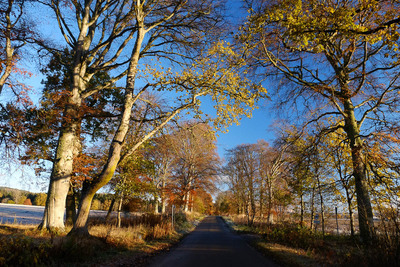 Walk photo