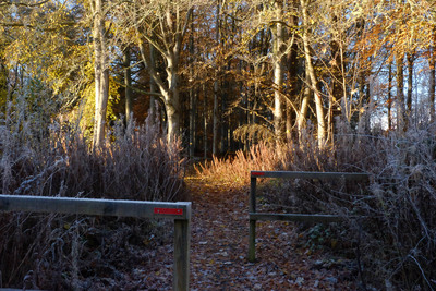 Walk photo