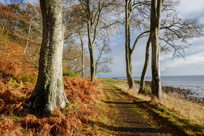 Walk photo