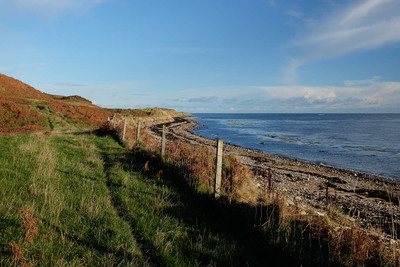 Walk photo