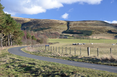 Walk photo