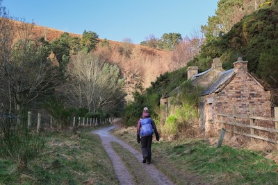 Walk photo