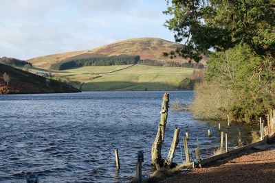 Walk photo