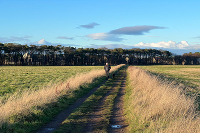 Walk photo