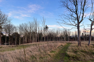 Walk photo