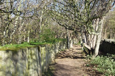 Walk photo