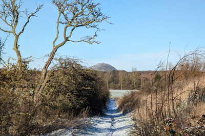Walk photo