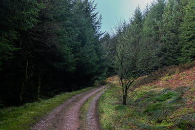 Walk photo