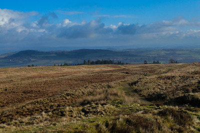 Walk photo