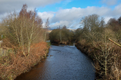 Walk photo