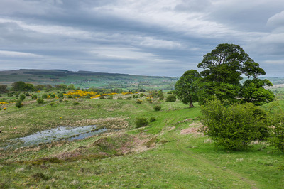 Walk photo