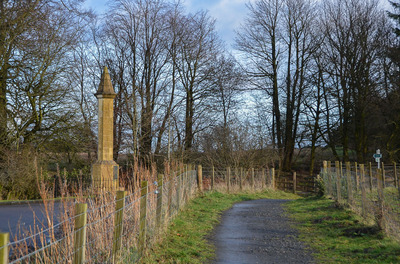 Walk photo