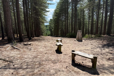 Walk photo