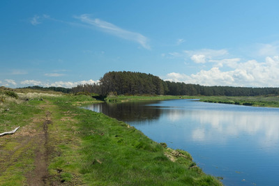 Walk photo
