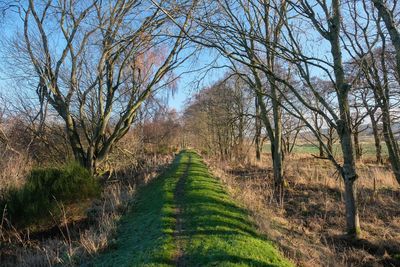 Walk photo