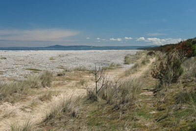 Walk photo