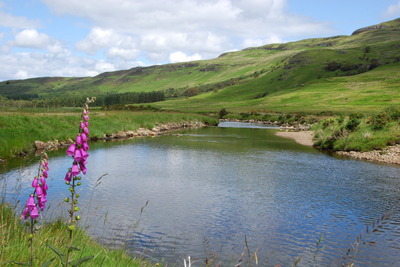 Walk photo