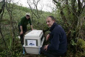 beaver_being_released_by_simon_jones_and_jenny_holden_sbt_staff_2 Beaver being released by Simon Jones and Jenny Holden of Scottish Beaver Trial