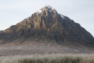 buachaille