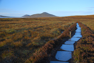 Peatland climate change threat | Walkhighlands