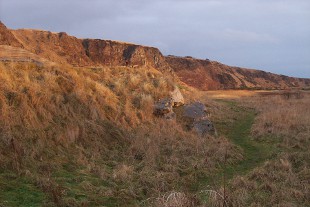 stcyrusJPG