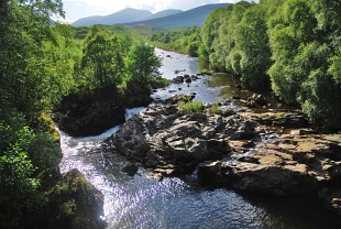 cononishriver1