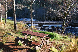 dogfallscarpark