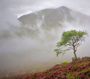 Meagaidh-SNH