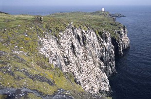 IsleofMay