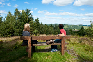 Viewpoint on Moncreiffe Hill (photo: Woodland Trust)