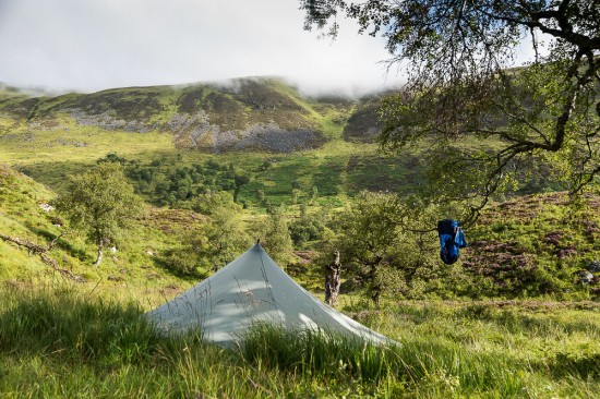 Luscious Creag Meagaidh woodlands after a rainy night - Midge City