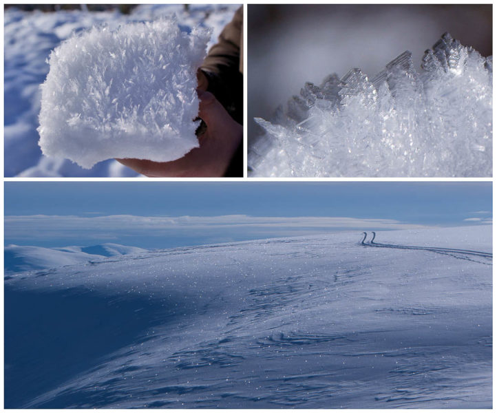 Top: surface hoar in Glen Affric during the cold winter of 2008/09. Bottom: sparkling surface hoar in the Cairngorms – one of the most beautiful sights in winter.