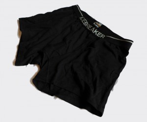icebreaker boxers