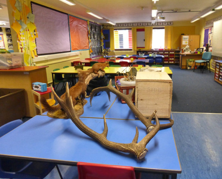 Antlers, hedgehog hibernation box and some old stuffed animals - props for a recent school visit with the Ranger Service. Getting ready to teach 30 six year olds about the animal kingdom.