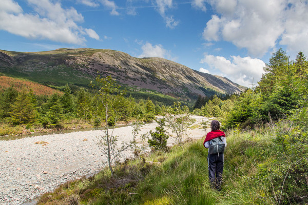 we’re rightly proud of our wild land in Scotland, but there are some great things happening elsewhere in the country too – this is the ‘Wild Ennerdale’ project in the Lake District.