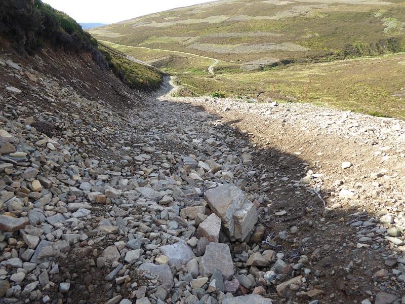 Dinnet estate in the Cairngorms NP.